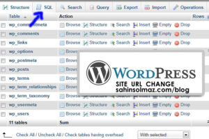 WordPress Site Adres Değişikliği Full Link / URL